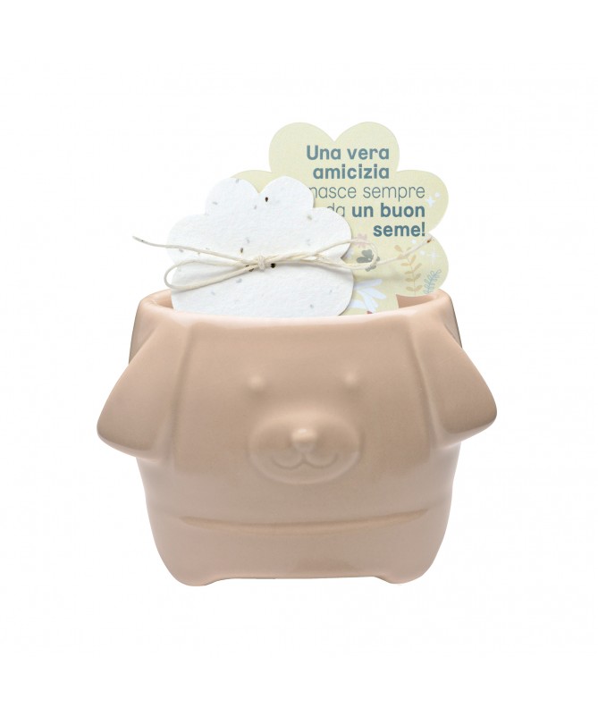 CAGNOLINO NOCCIOLA + CARTA PIANTABILE