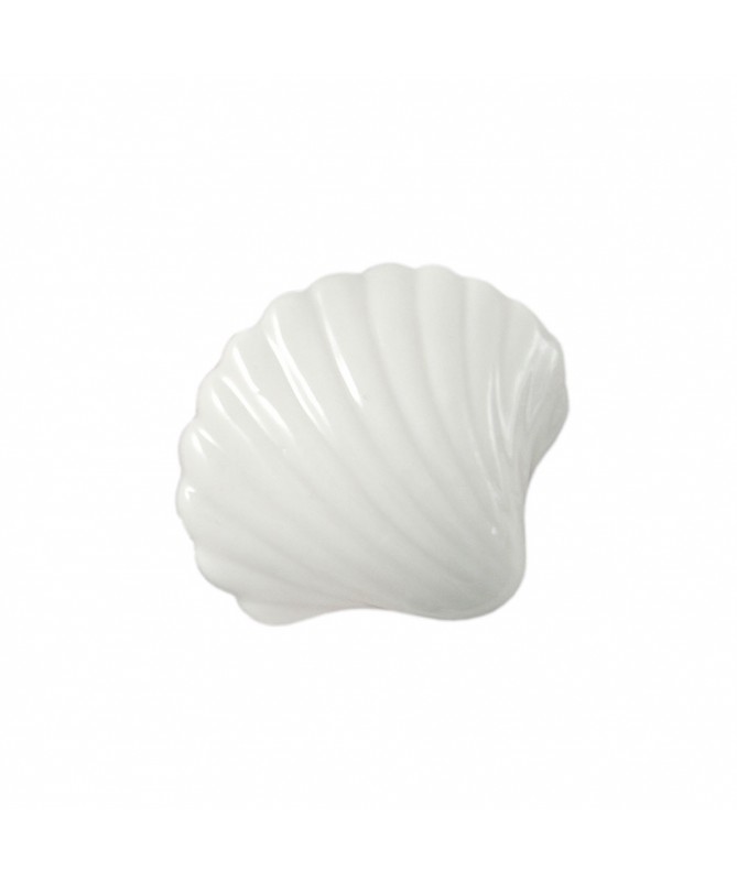DECORAZIONE CONCHIGLIA