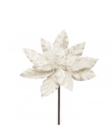 STELLA DI NATALE BIANCA