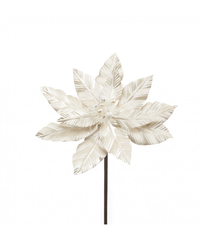 STELLA DI NATALE BIANCA