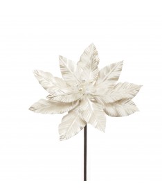 STELLA DI NATALE BIANCA