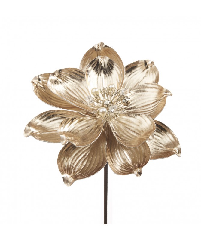 ROSA ORO