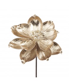ROSA ORO