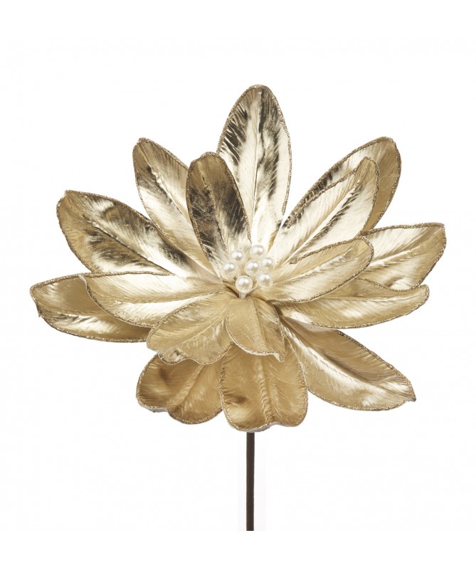 MAGNOLIA ORO
